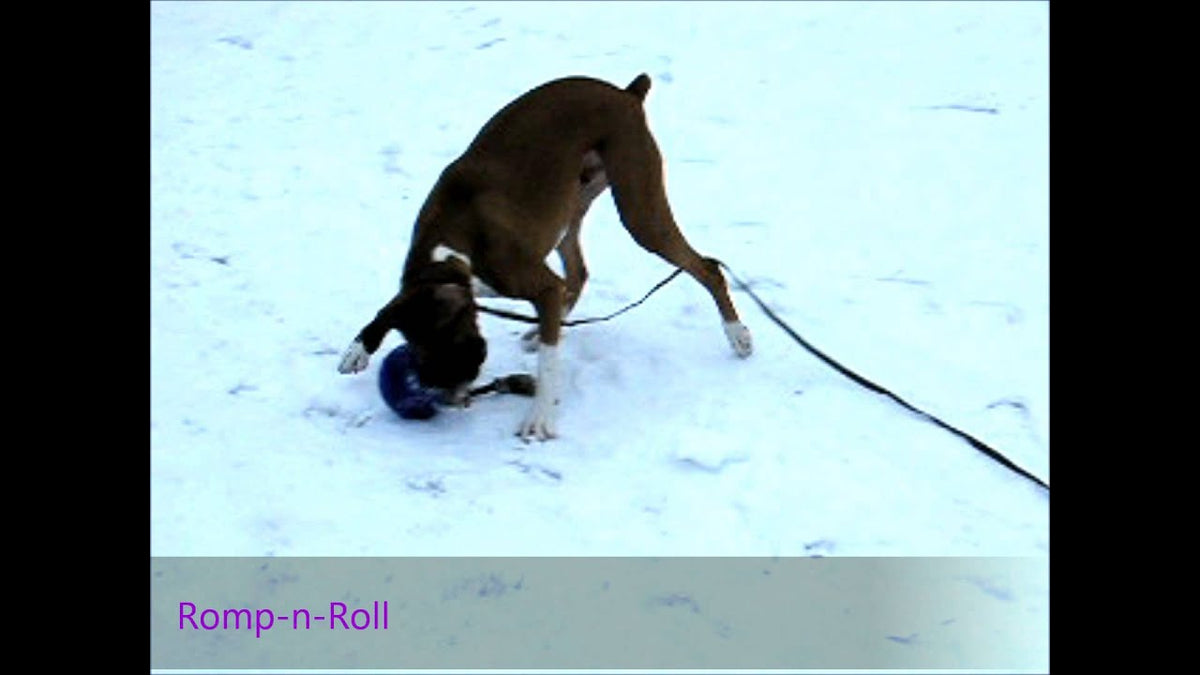 Jolly Romp-n-Roll Paars M (15 cm)