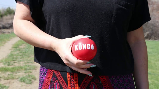 KONG Signature Ball M 2-Pack