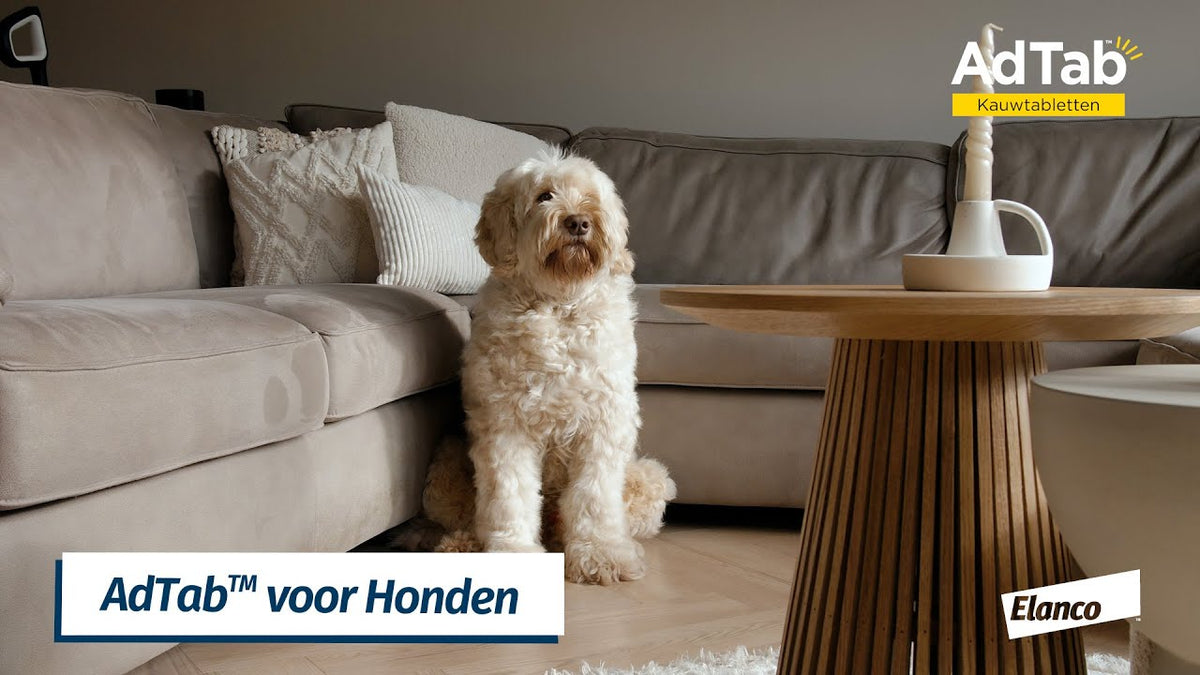 Elanco AdTab kauwtabletten hond (>2,5 - 5,5 kg)