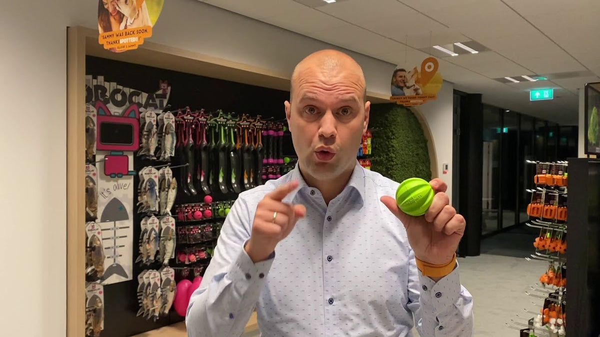 Dog Comets Hale Bopp Groen