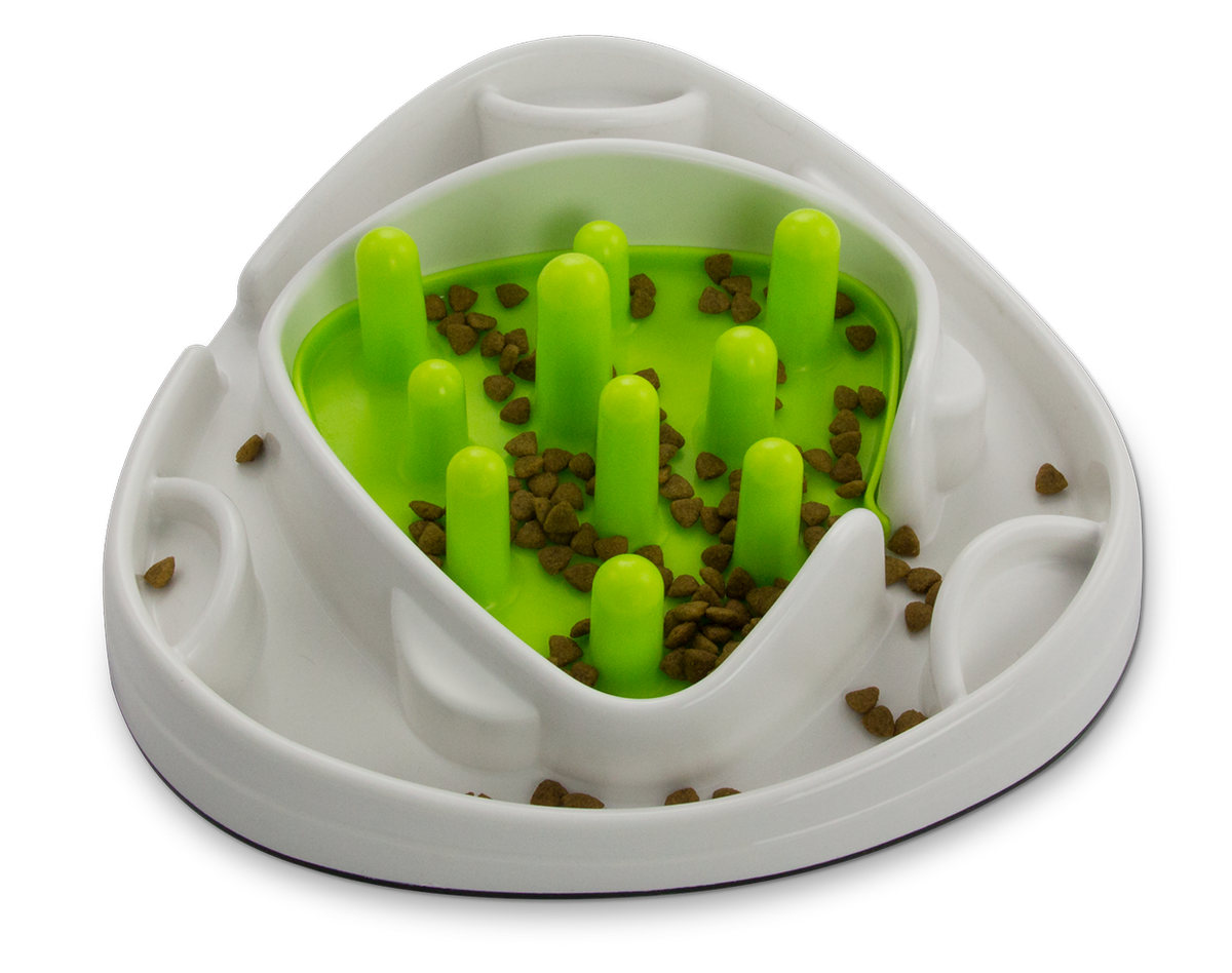 AFP Interactives - Food Maze