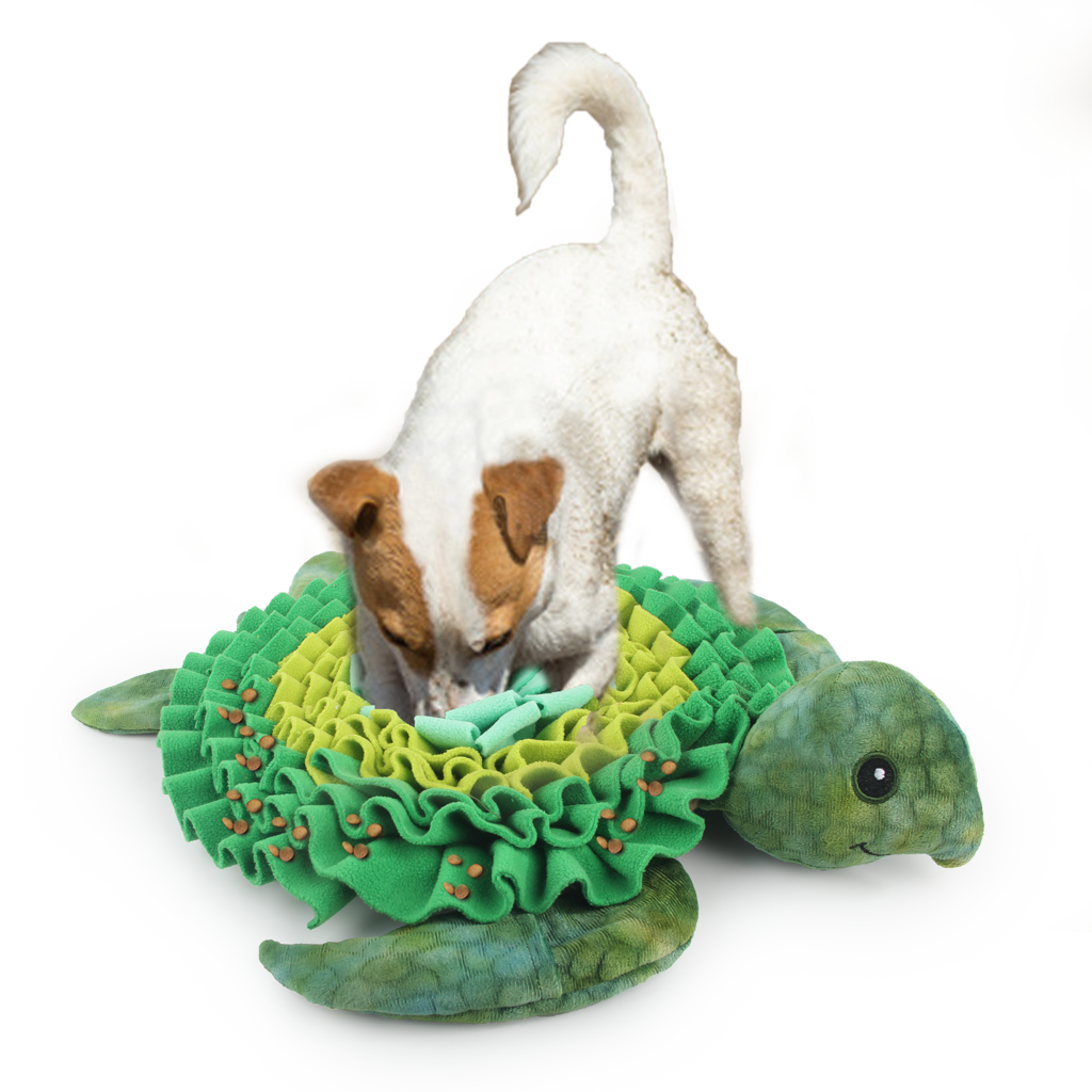 AFP  Dig It - Treat Mat Zeeschildpad