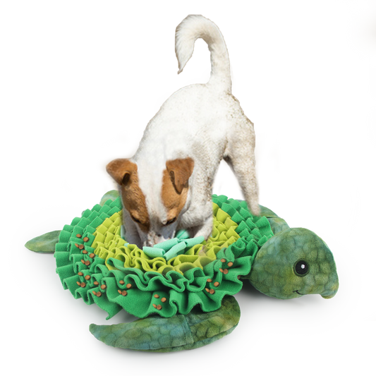 AFP  Dig It - Treat Mat Zeeschildpad