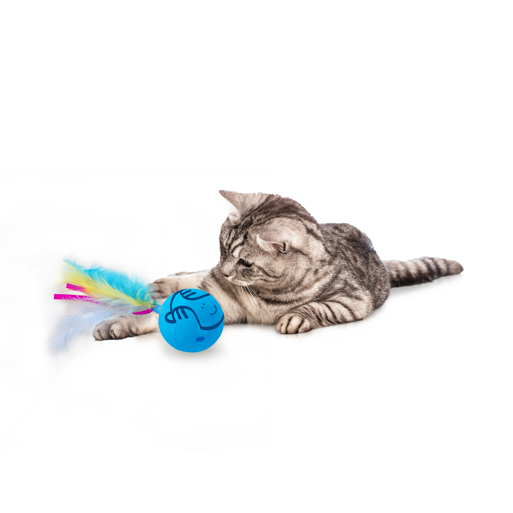 AFP Modern Cat Dizzy Spinner