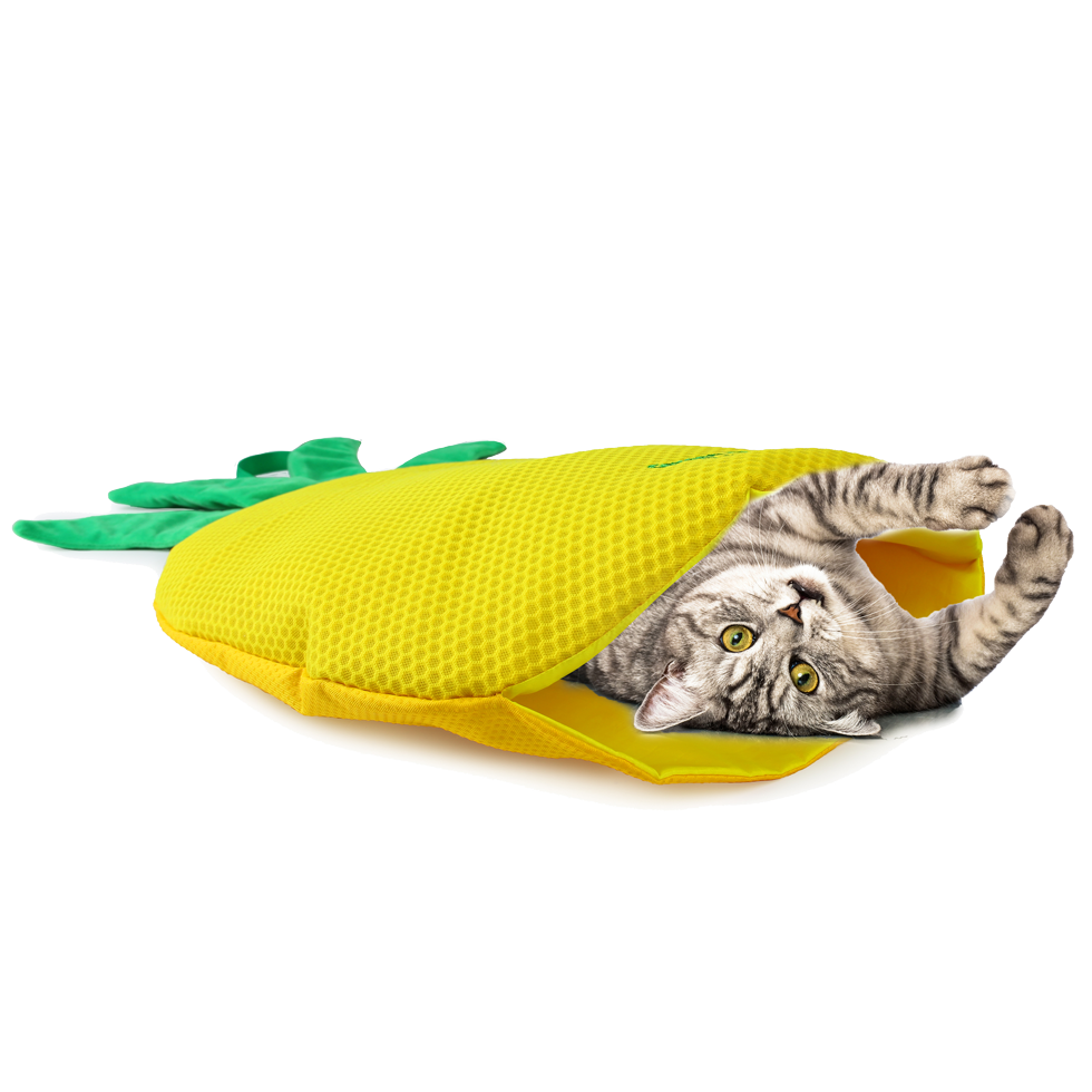 AFP Green Rush - Play Mat Ananas