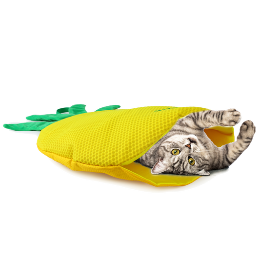 AFP Green Rush - Play Mat Ananas