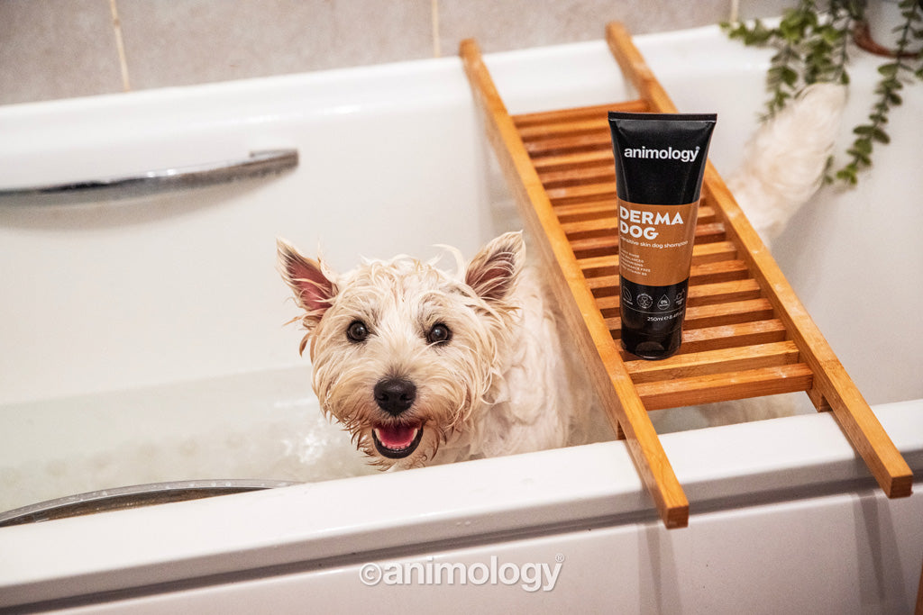 Animology Derma Dog Sensitive Skin Dog Shampoo 250 ml