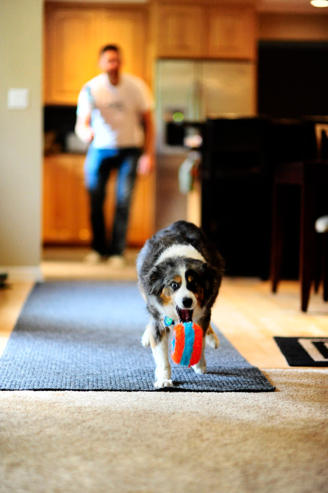 Chuckit! Indoor Roller