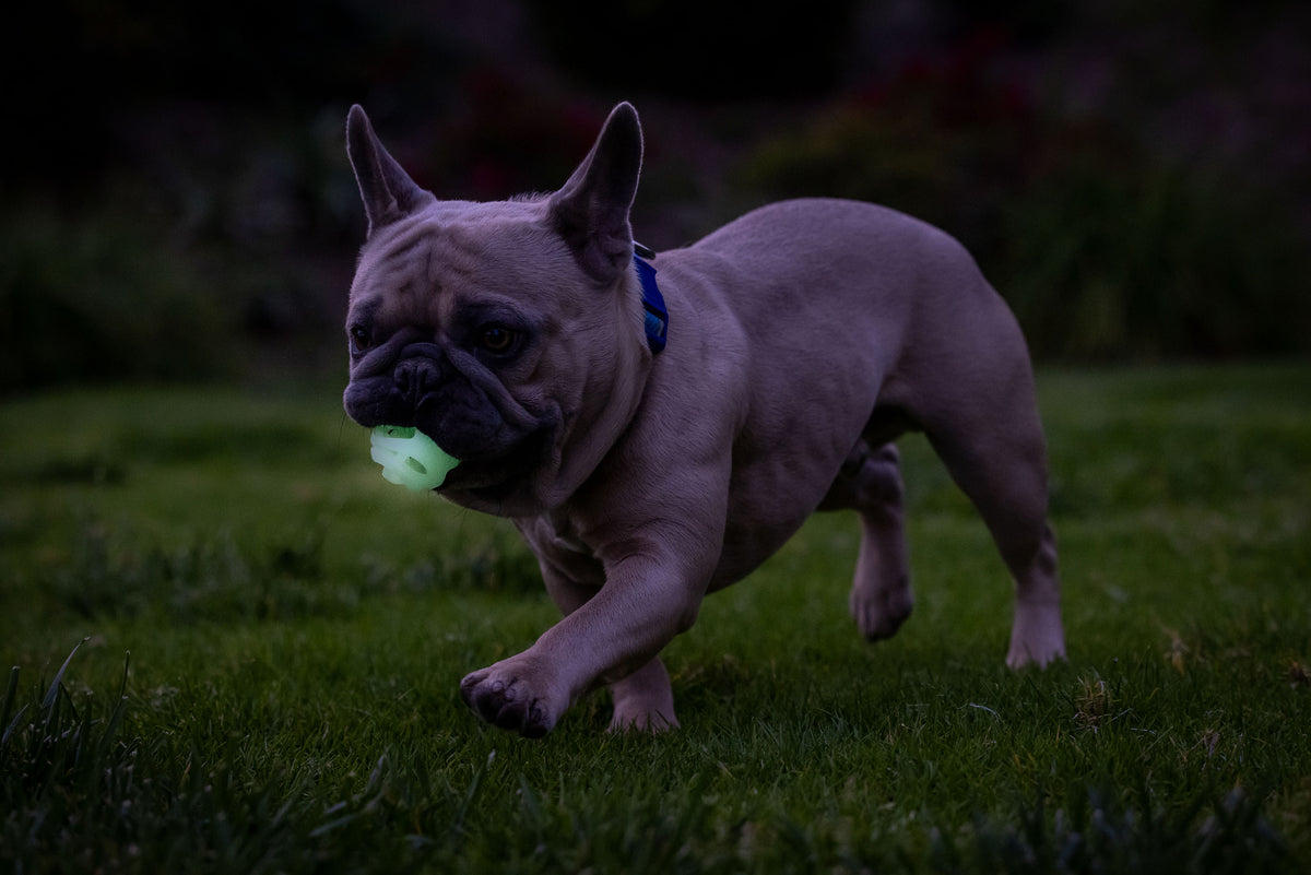 Chuckit! Air Glow Fetch Ball S (2-pack)