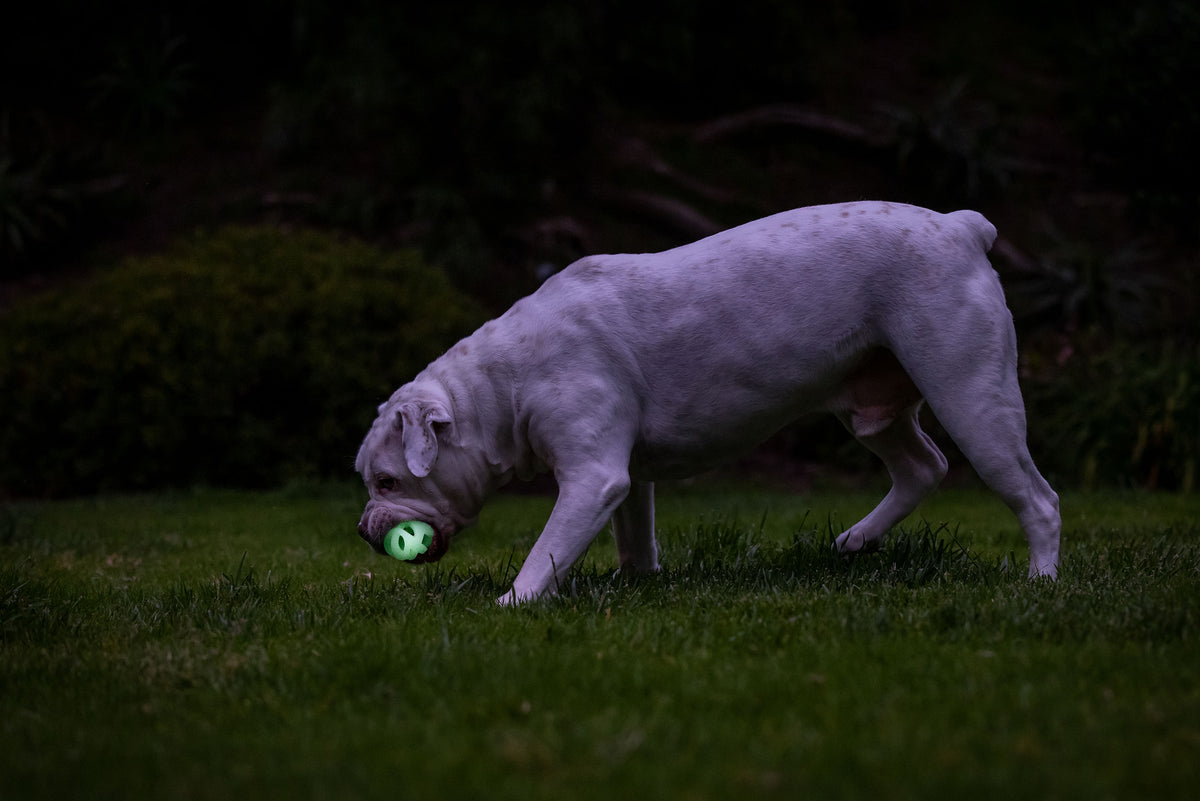 Chuckit! Air Glow Fetch Ball M (2-pack)