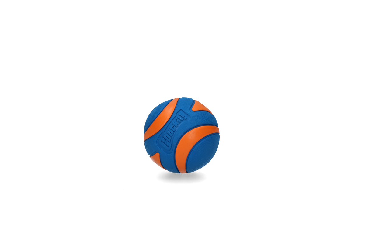 Chuckit! Ultra Squeaker Ball XL (1-pack)