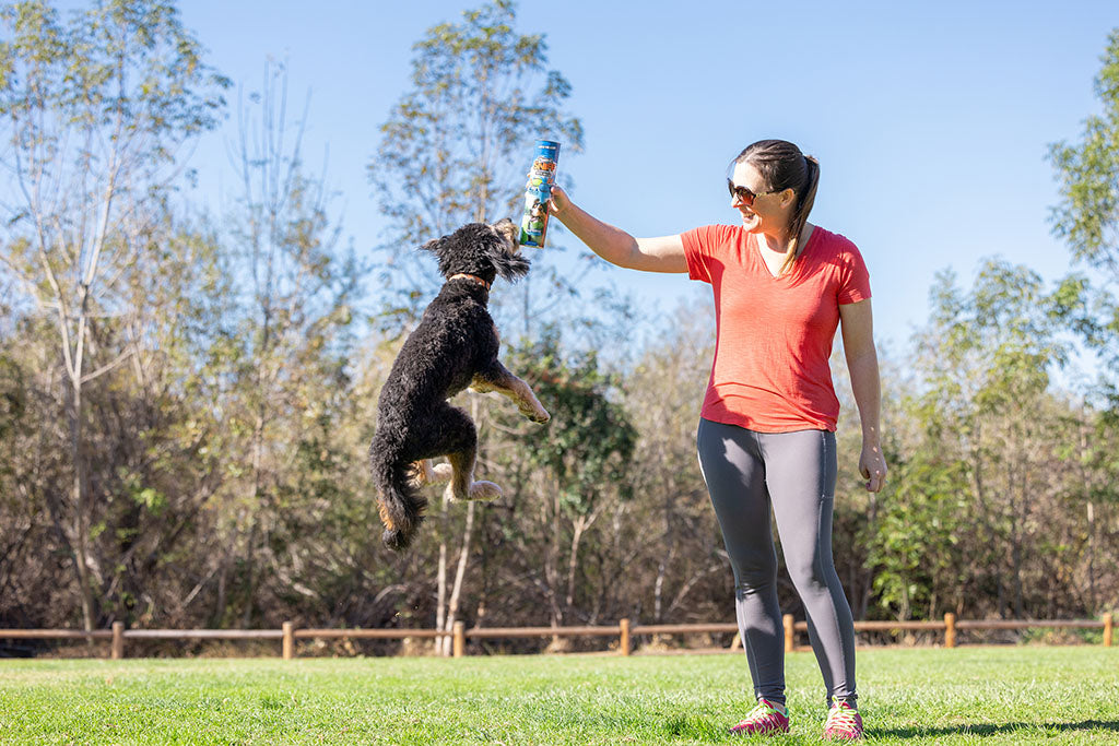 Chuckit! Sniff Fetch Ball Bacon & Peanut Butter M 4-pack