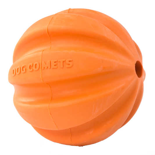 Dog Comets Swift Tuttle Oranje