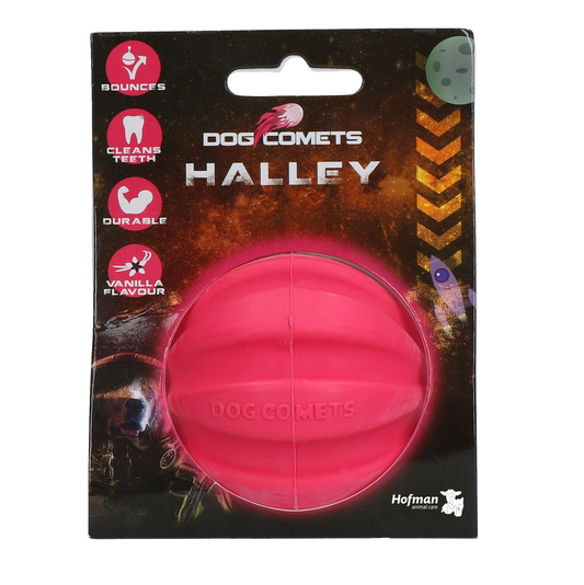 Dog Comets Halley Roze