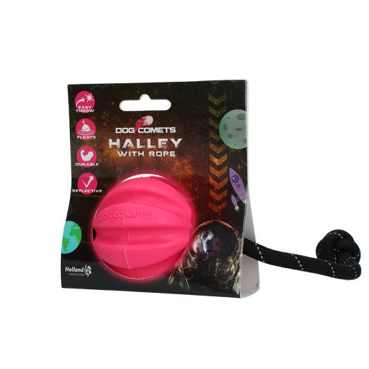 Dog Comets Halley Met Touw Roze