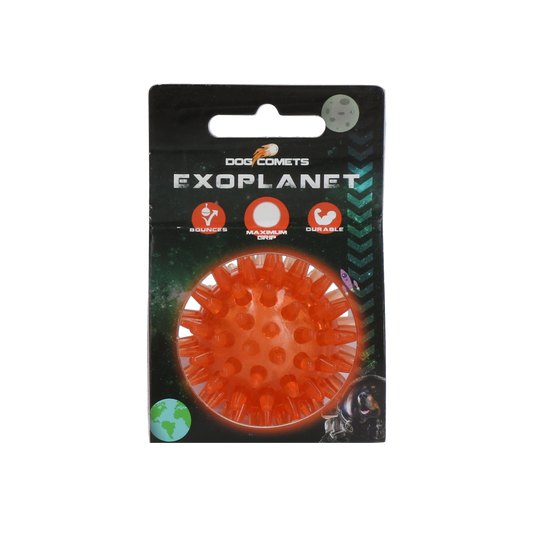 Dog Comets Exoplanet Egelbal S Oranje