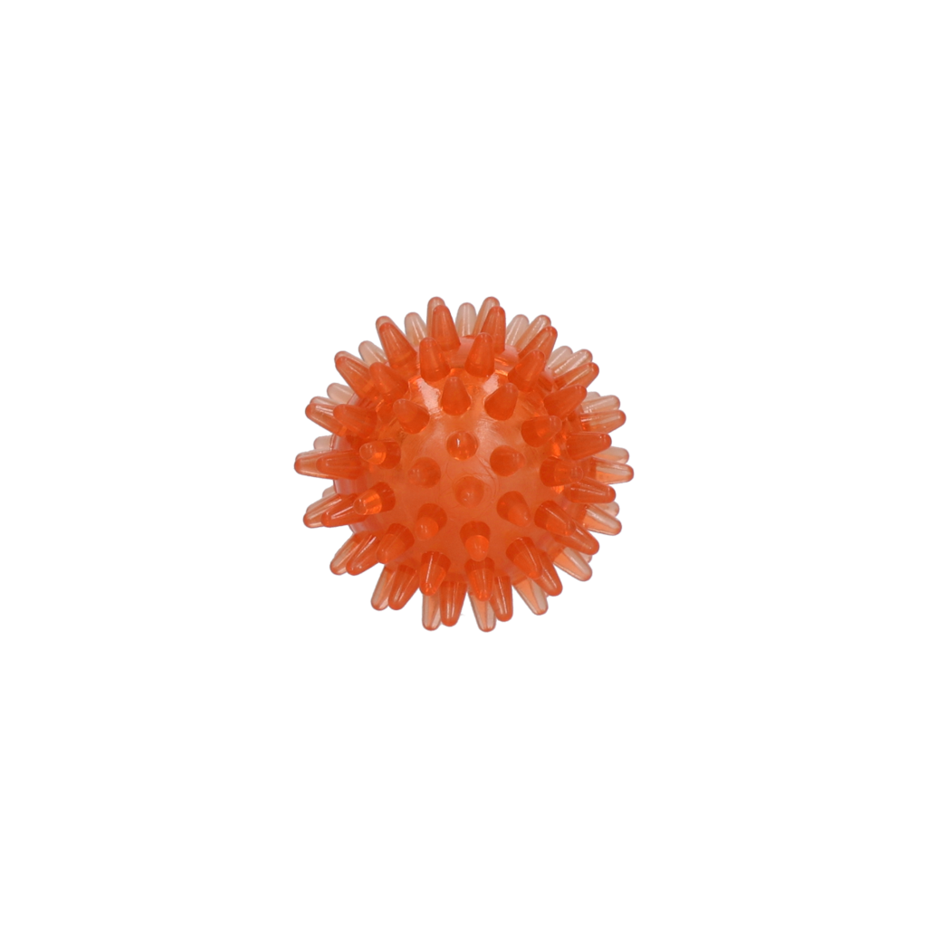 Dog Comets Exoplanet Egelbal S Oranje