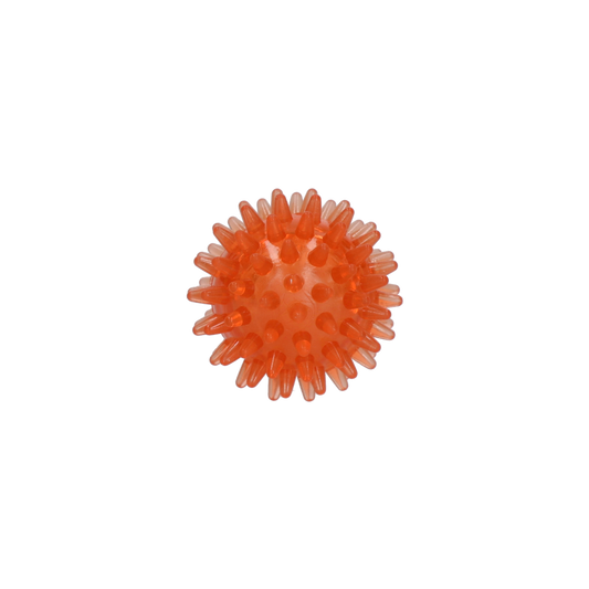 Dog Comets Exoplanet Egelbal S Oranje