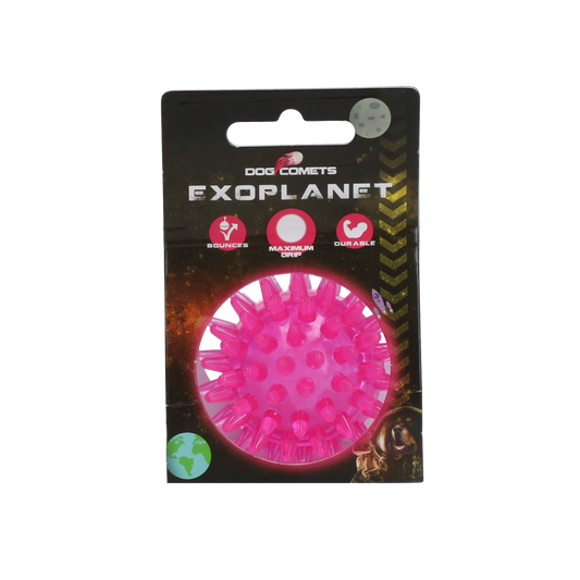 Dog Comets Exoplanet Egelbal S Roze