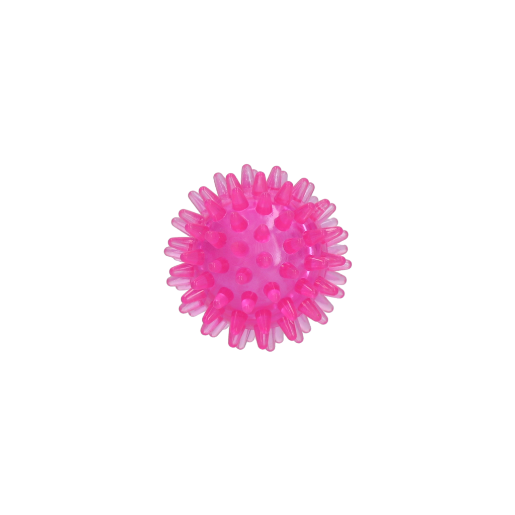 Dog Comets Exoplanet Egelbal S Roze