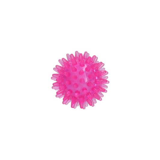 Dog Comets Exoplanet Egelbal S Roze