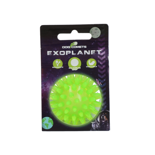 Dog Comets Exoplanet Egelbal S Groen