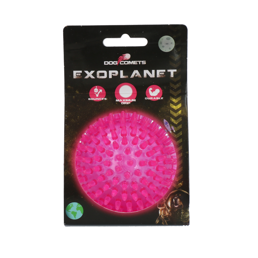 Dog Comets Exoplanet Egelbal M Roze