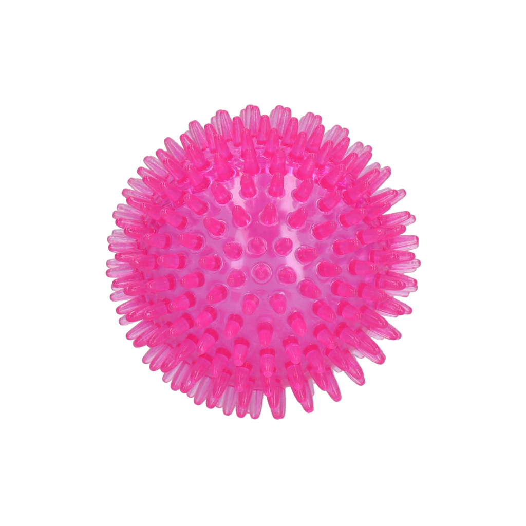 Dog Comets Exoplanet Egelbal M Roze