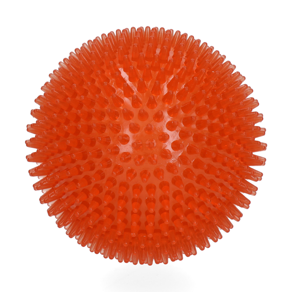 Dog Comets Exoplanet Egelbal L Oranje
