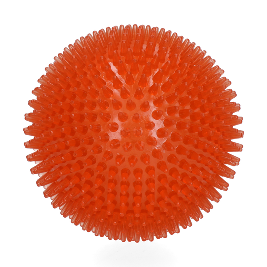 Dog Comets Exoplanet Egelbal L Oranje