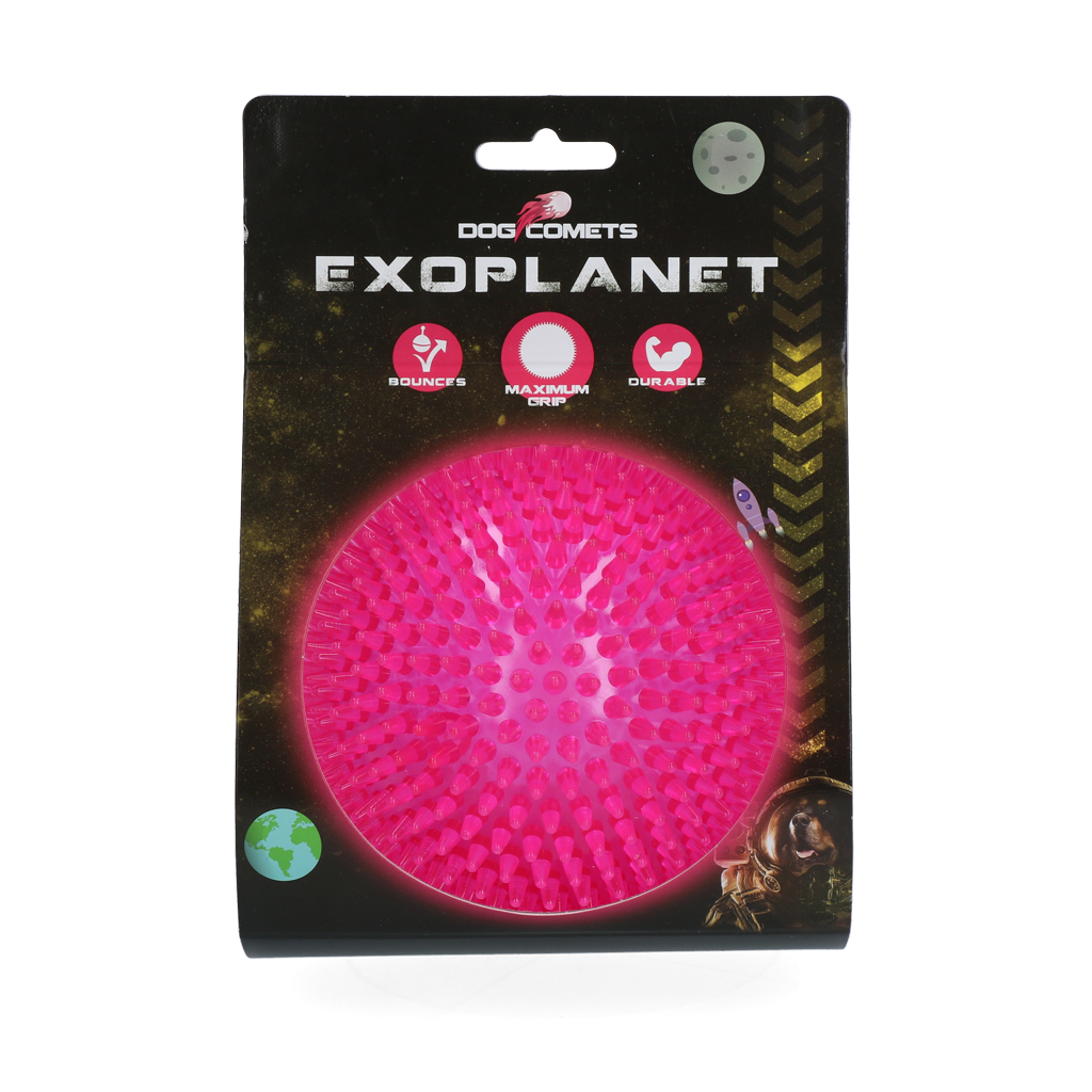 Dog Comets Exoplanet Egelbal L Roze