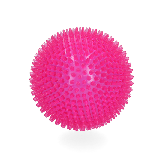 Dog Comets Exoplanet Egelbal L Roze