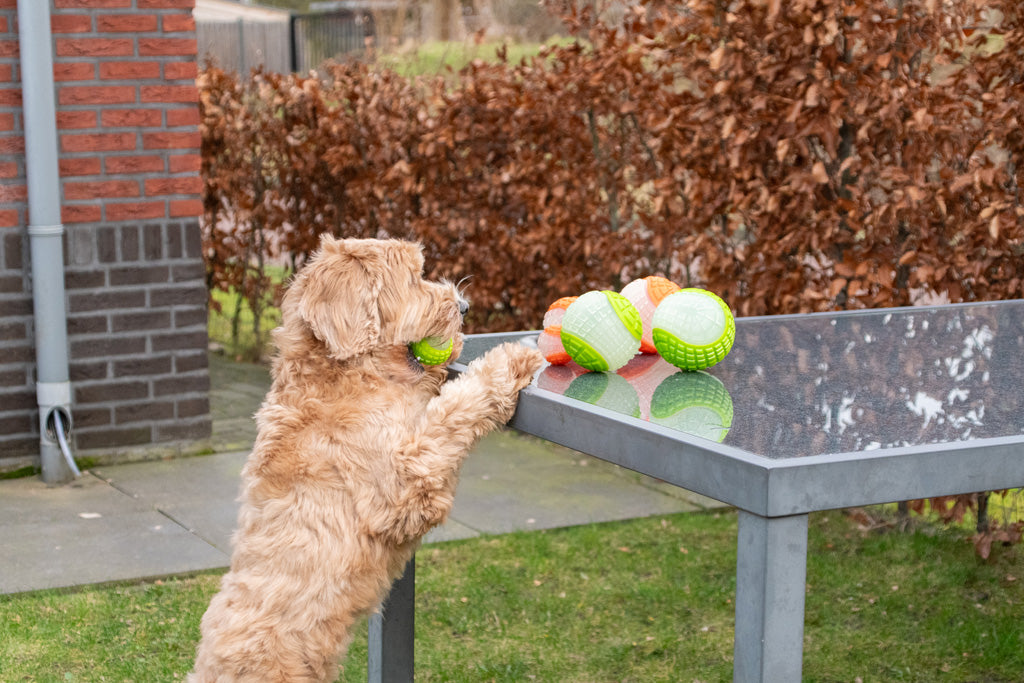 Dog Comets Glow In The Dark Moon Bal L Groen