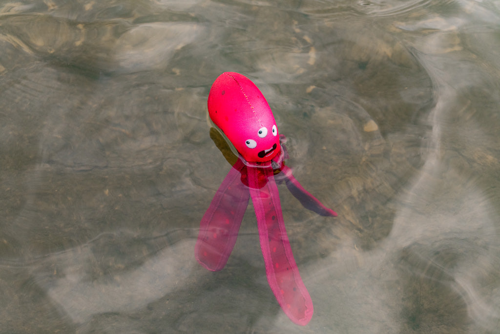 Dog Comets Alien Octo M Roze