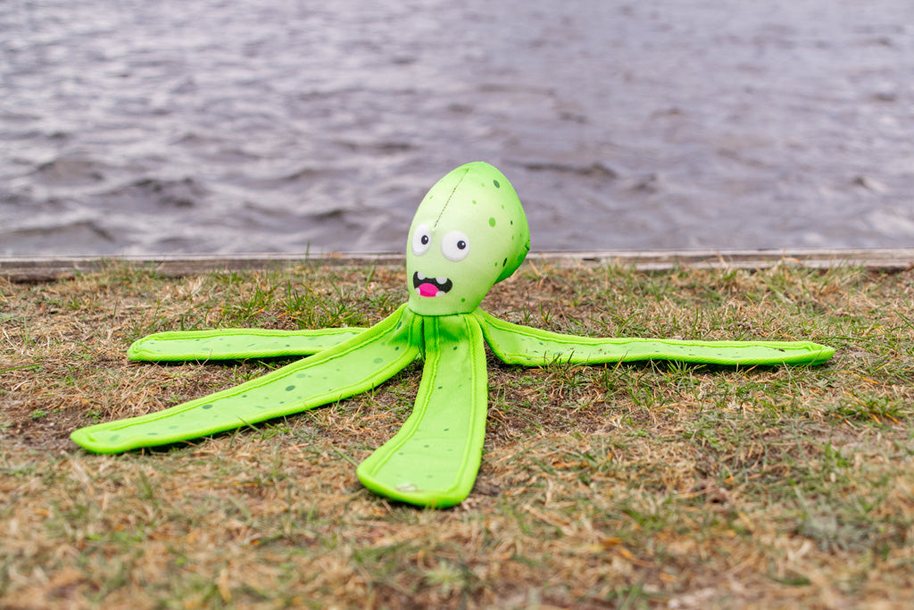 Dog Comets Alien Octo L Groen