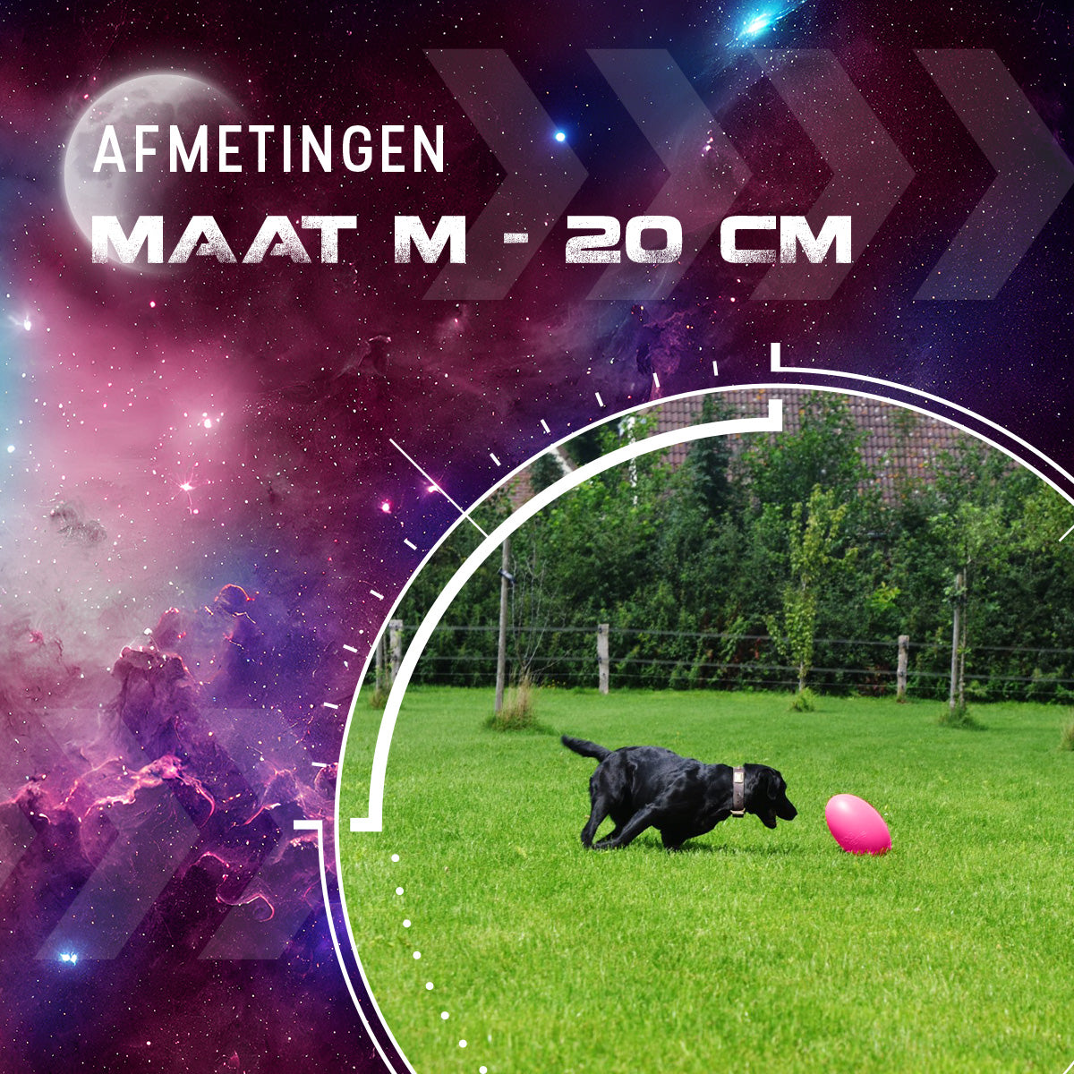 Dog Comets Pan-Stars Roze M