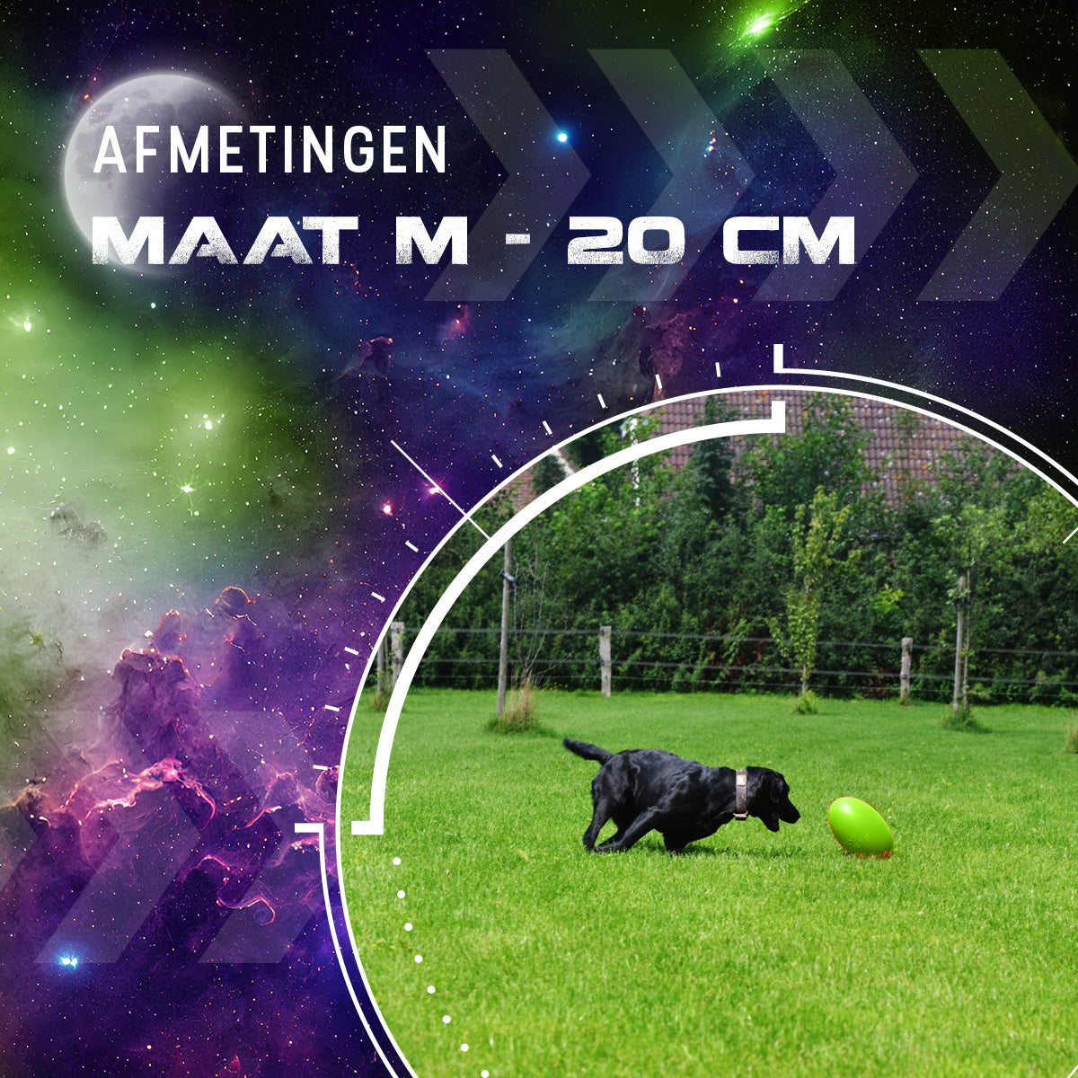Dog Comets Pan-Stars Groen M