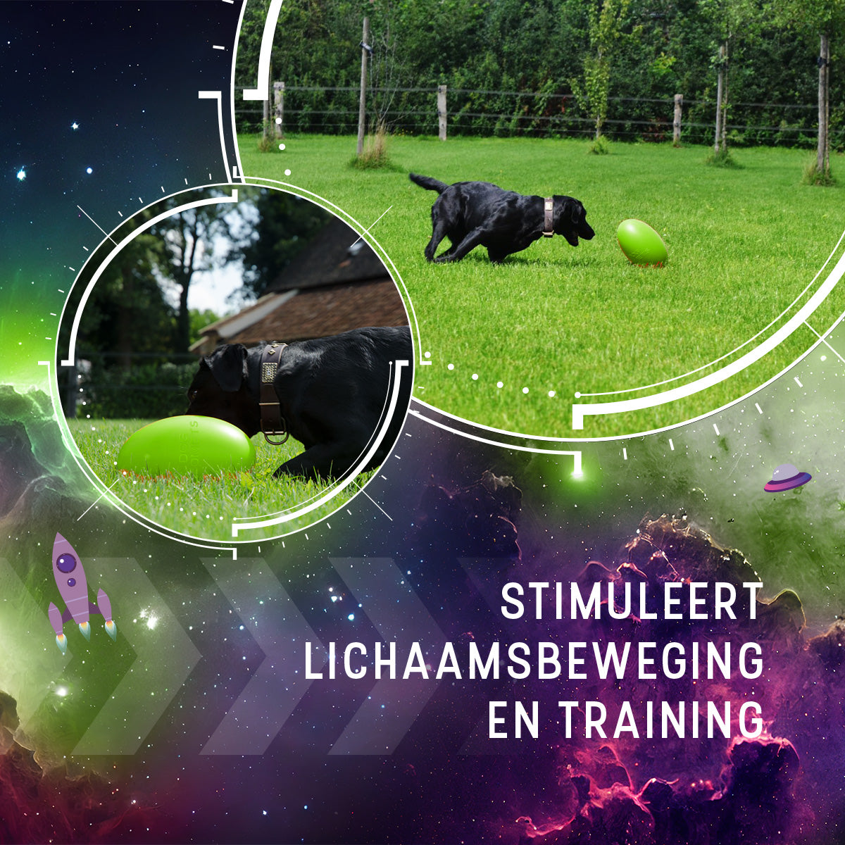 Dog Comets Pan-Stars Groen M