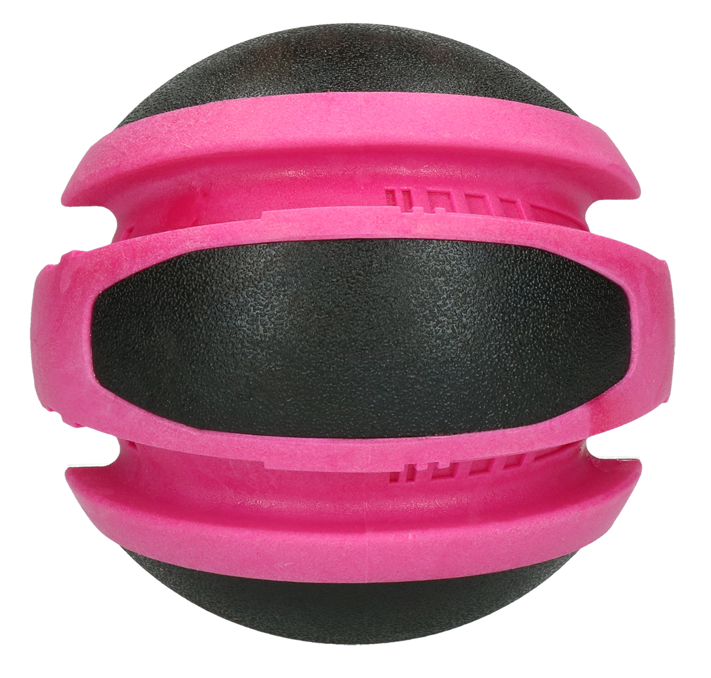 Dog Comets Planets Roze