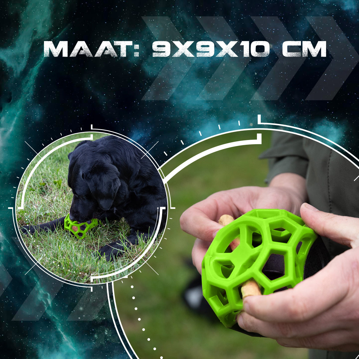 Dog Comets Moonstone Traktatiekubus Groen