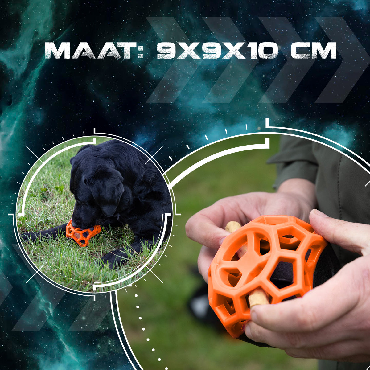 Dog Comets Moonstone Traktatiekubus Oranje