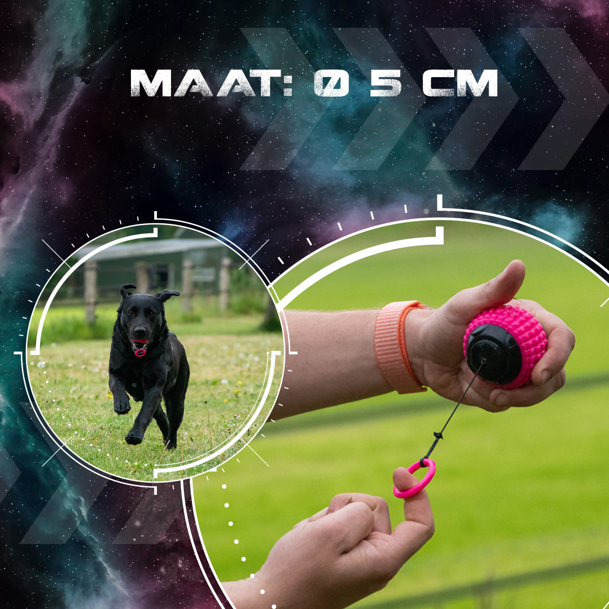 Dog Comets Blazar Jet Roze