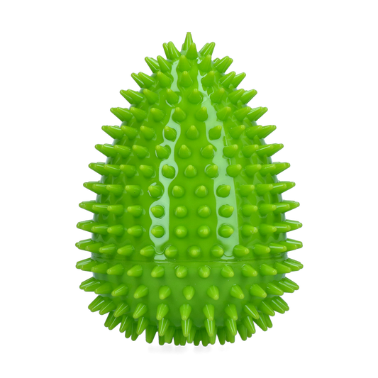 Dog Comets Cosmic Egg Groen L