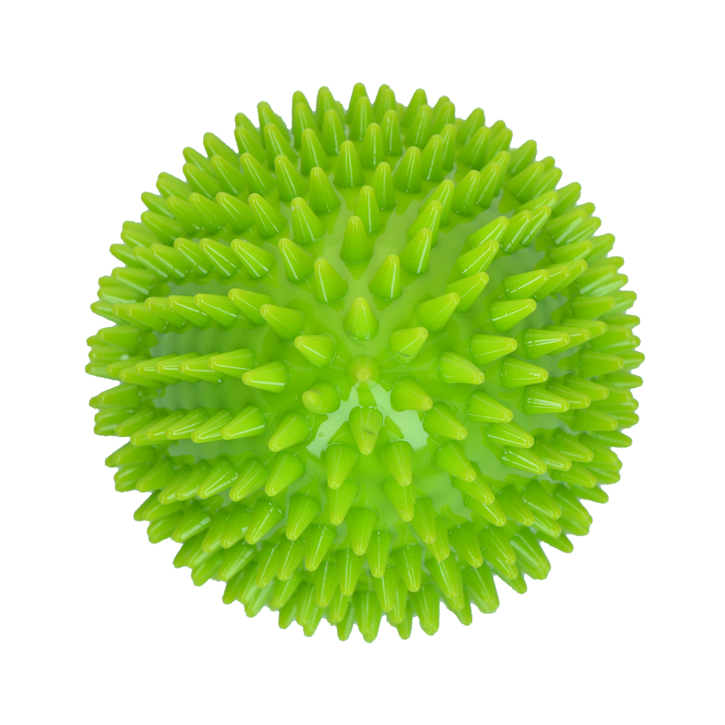 Dog Comets Cosmic Egg Groen L