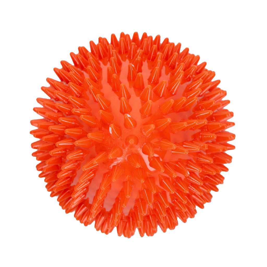 Dog Comets Cosmic Egg Oranje L
