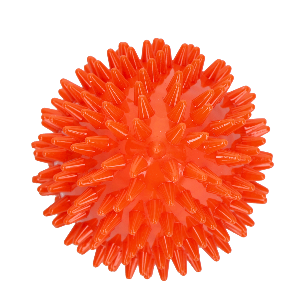 Dog Comets Cosmic Egg Oranje M