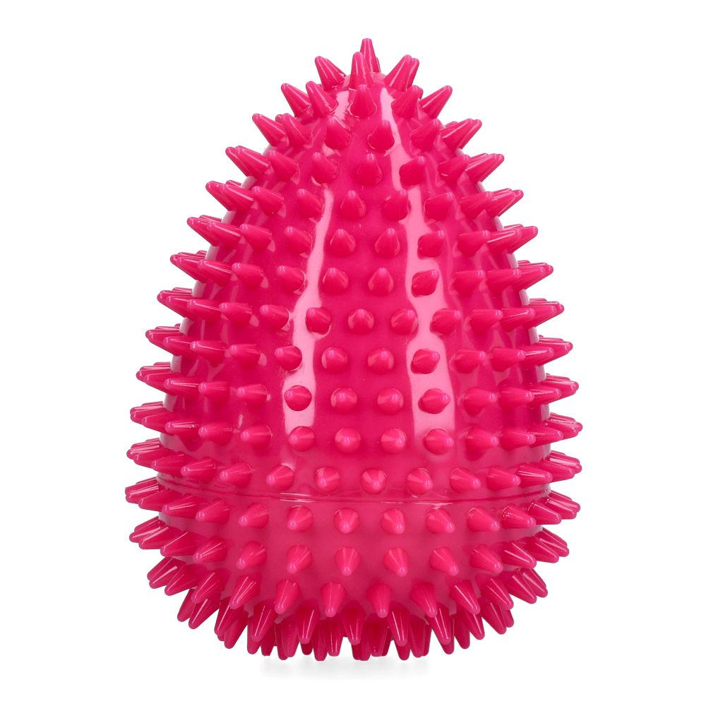 Dog Comets Cosmic Egg Roze L