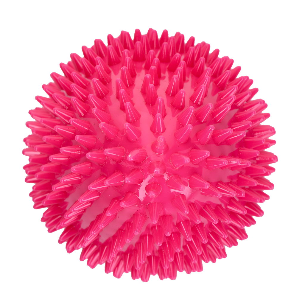 Dog Comets Cosmic Egg Roze L