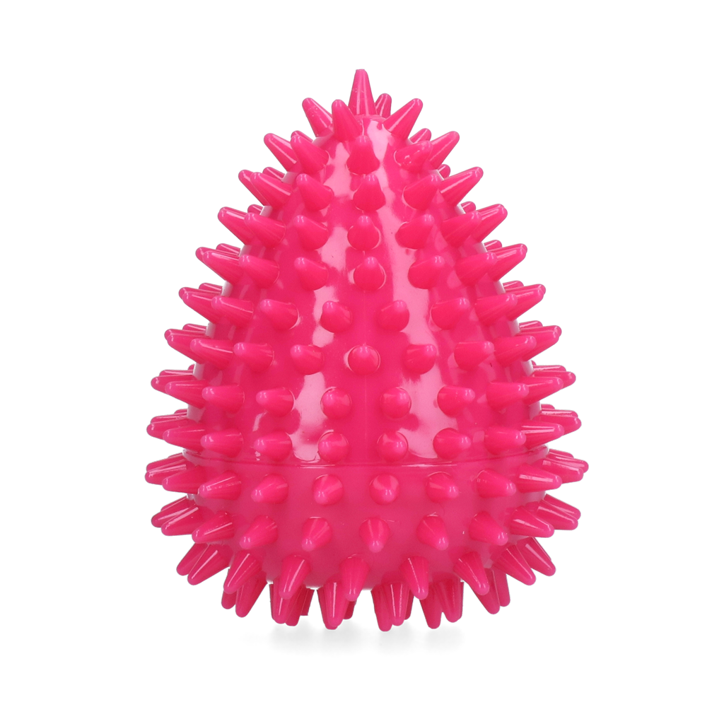 Dog Comets Cosmic Egg Roze M