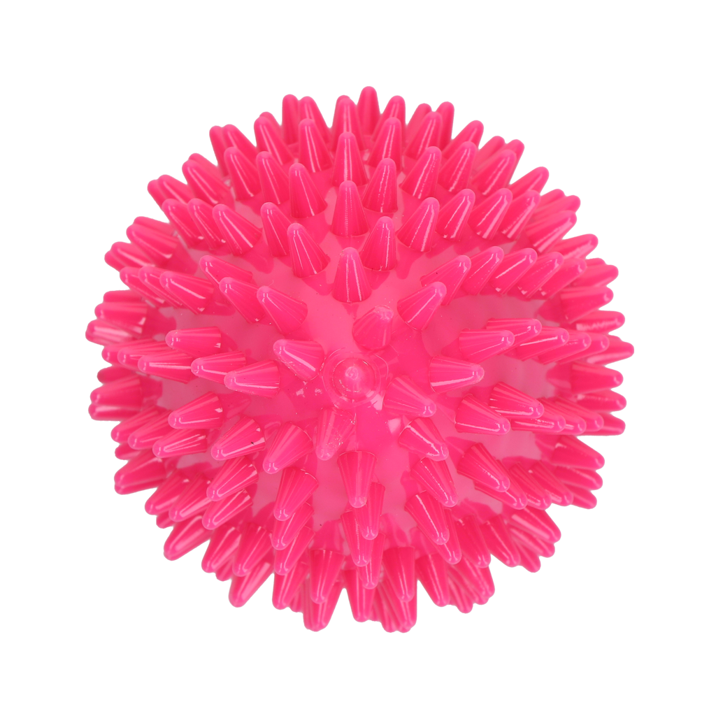 Dog Comets Cosmic Egg Roze M